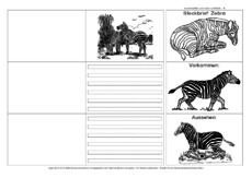 Flip-Flap-Zebra-3.pdf